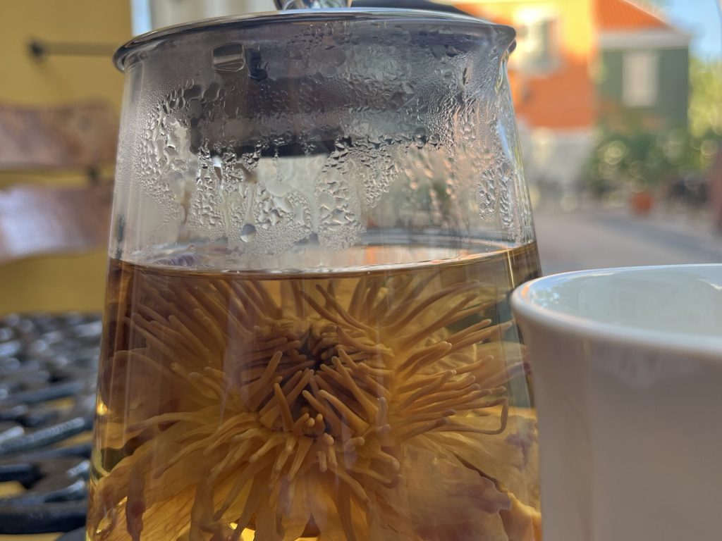 lotus infusion